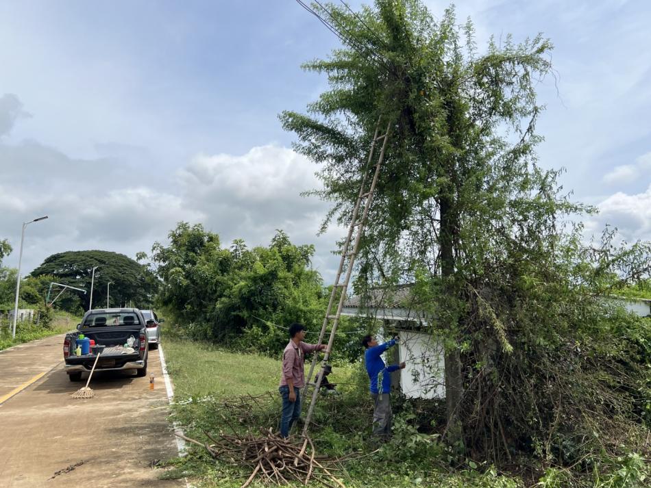 กองช่างเทศบาลตำบลเหล่าปอแดง ได้รับมอบหมายจาก นายลำไพ งิ้วพรม นายกเทศมนตรีตำบลเหล่าปอแดง ออกตัดกิ่งไม้ที่เกาะสายไฟ บริเวณโรงสูบประปา หมู่ที่ 5